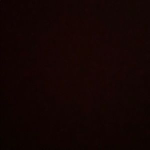 Meet your Posher, Shania